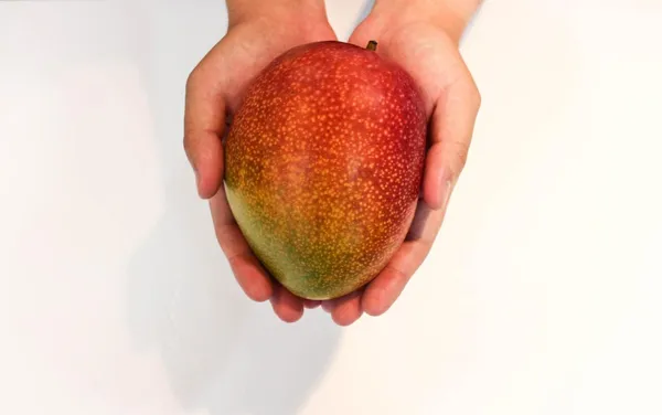 Thai_Apple_Mango🥭🥭🥭_Grafting_Fruit_Plant_(1.5-3_Feet_Height_Pack_Of_-1)