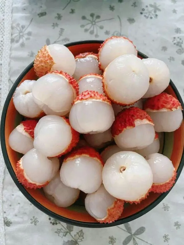 Hybrid_Bombai_Litchi_Grafting_Plant_(Pack_Of_1)