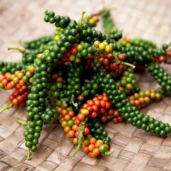 Hybrid_Black_Pepper_Plant_(Pack_Of-1)