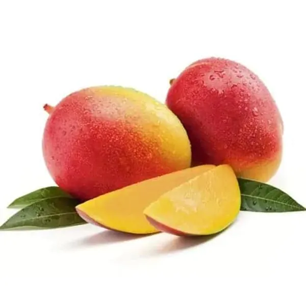 Gulab_khas_Mango_Fruit_Plant_(Hybrid_&_Grafting)_Pack_Of-1