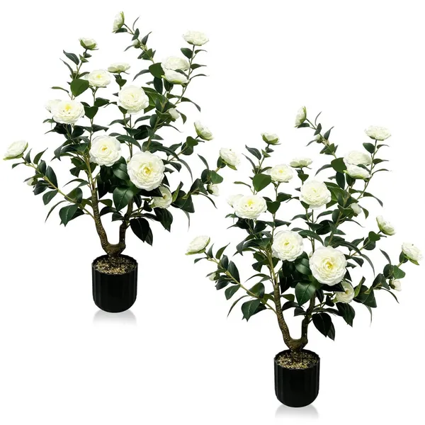 Hybrid_White_Camellia_Flower_Plant_(Pack_Of-1)