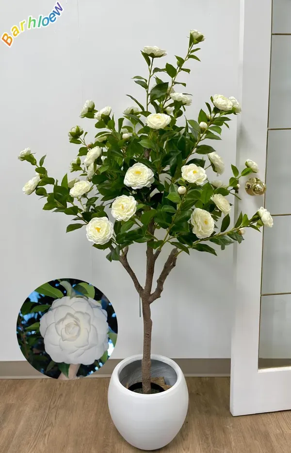 Hybrid_White_Camellia_Flower_Plant_(Pack_Of-1)