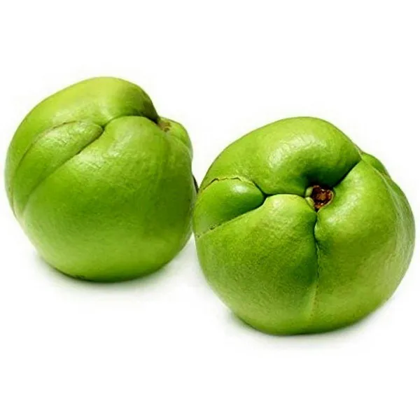 Hybrid_Elephant_Apple_Fruit_Plant_(Pack_Of-1_)