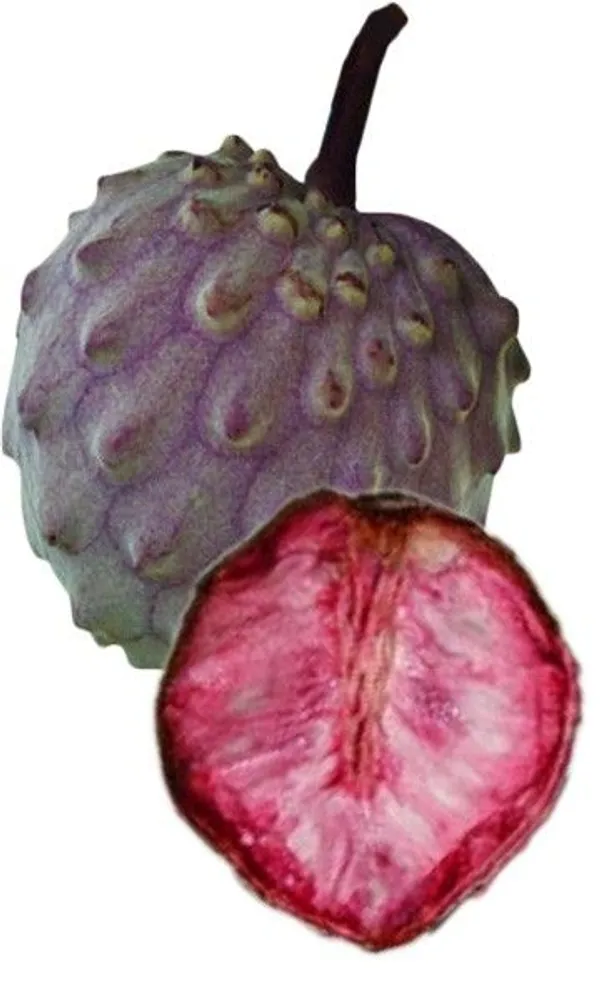 Red_Custard_Apple_(Hybrid_&_Grafting)_Plant_Pack_Of_-1