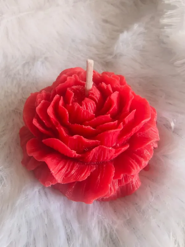 Red_Radiant_Royal_Ruby_Rose_Soya_Wax_Candle_For_Home_(Pack_Of_2_)