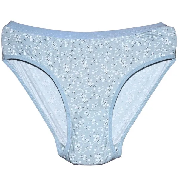 Pack_Of__3_-_Multicolor_Cotton_Blend_Premium_&_Elegant_Solid_Regular_Printed_Panty_For_Women.