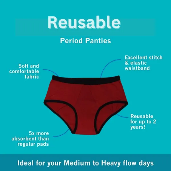 Maroon_Cotton_Blend_Premium_&_Elegant_Solid_Regular_Periods_Panty_For_Women