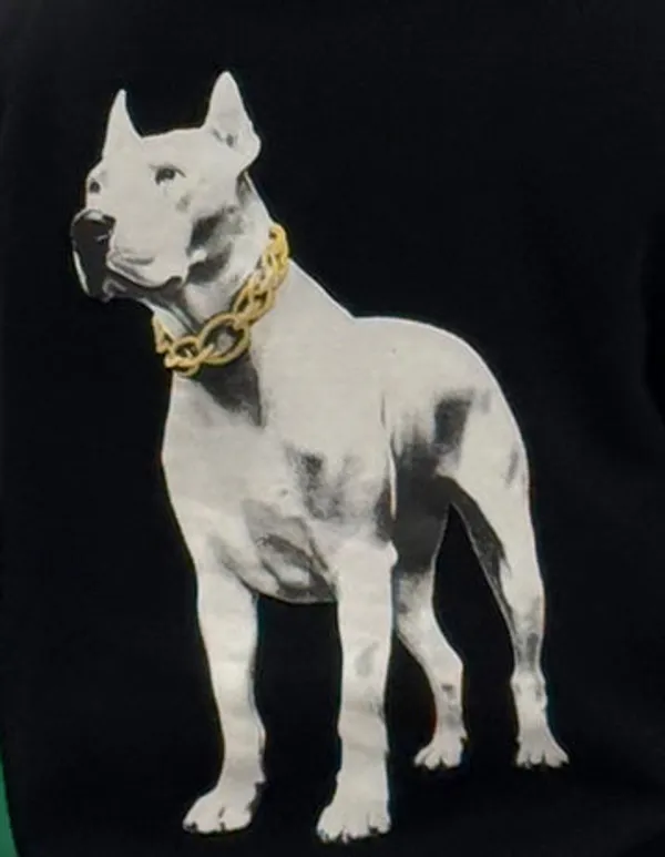 Doggo_Cotton_And_Polyester_Hoodie_|_Black