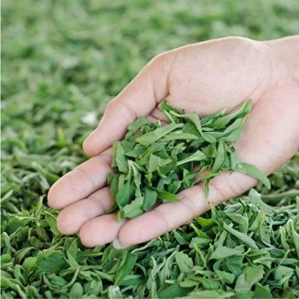 Stevia_Zero_Calorie_Powder_Pack_Of_2