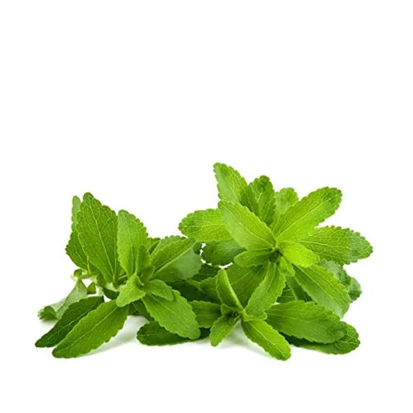 Stevia_Powder_Erythritol_Combo_Single_Pack
