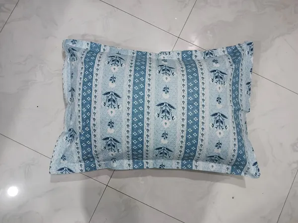 Pack_of_2_Cotton_Pillow_Cover_Set_(16x24_Inch)_with_Pillow_|_Premium_Printed_Cotton_Takiya_Covers_|_Ethnic_Floral_Stripe_Design_in_Sky_Blue_&_Off-White_|_Soft,_Breathable_Pillow_Covers_for_Bed,_Sofa_&_Diwan