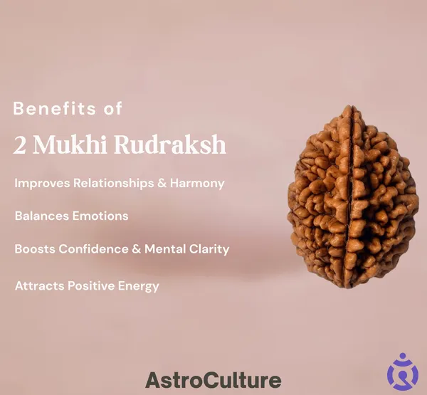Brown_2_Mukhi_Rudraksh
