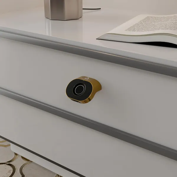 Gold_Zinc_Fingerprint_Lock_For_Home_Security