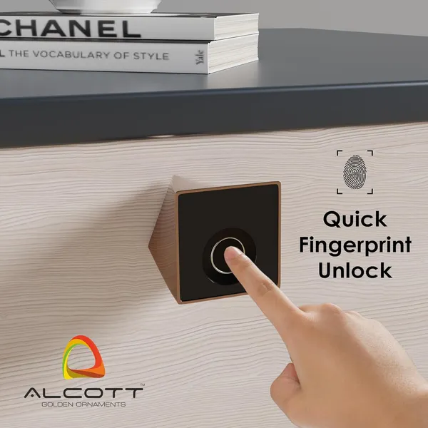 Black_Zinc_Fingerprint_Lock_For_Home_Security