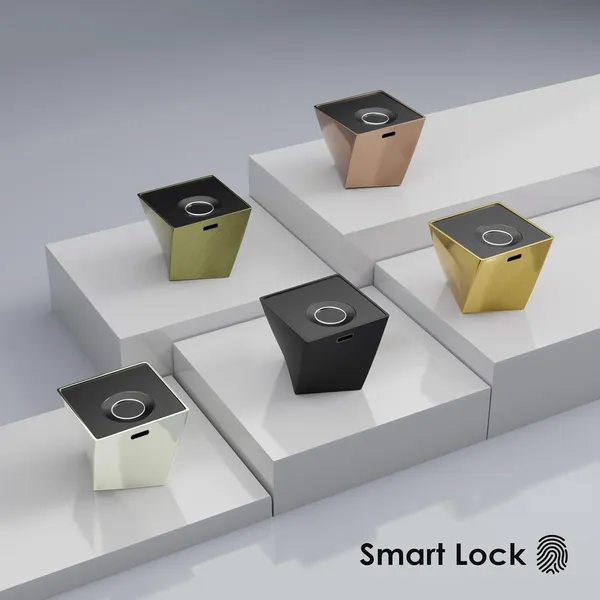 Black_Zinc_Fingerprint_Lock_For_Home_Security