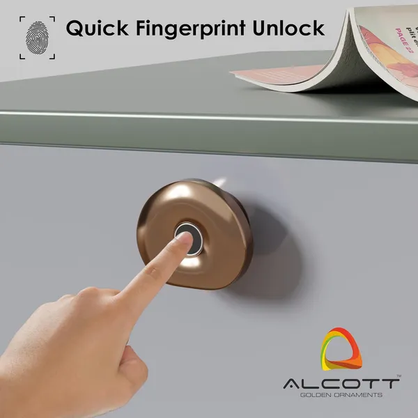 Silver_Zinc_Fingerprint_Lock_For_Home_Security