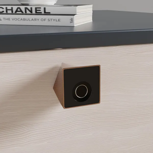 Rose_Zinc_Fingerprint_Lock_For_Home_Security