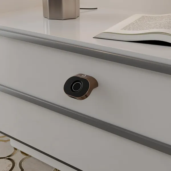 Rose_Zinc_Fingerprint_Lock_For_Home_Security