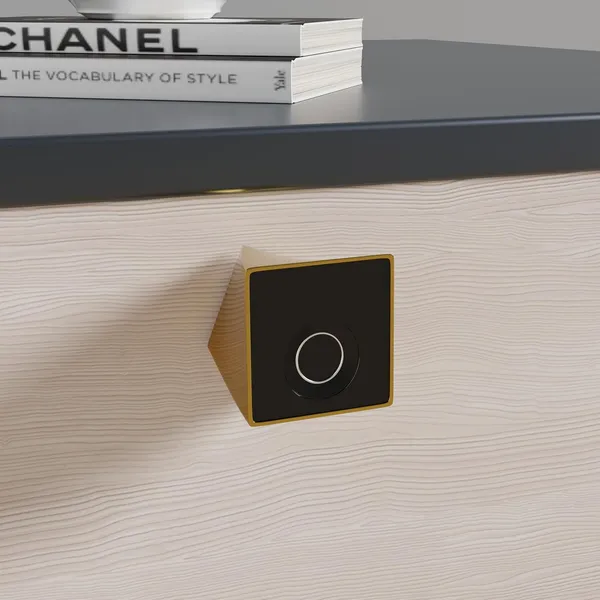 Gold_Zinc_Fingerprint_Lock_For_Home_Security