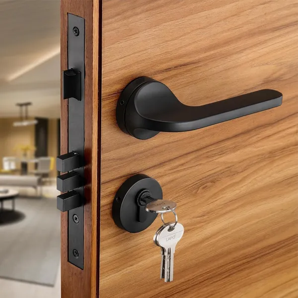 Black_Zinc_Mortise_Door_Lock_For_Home_Security