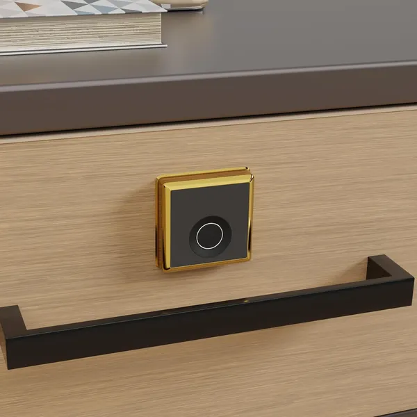 Gold_Zinc_Fingerprint_Lock_For_Home_Security