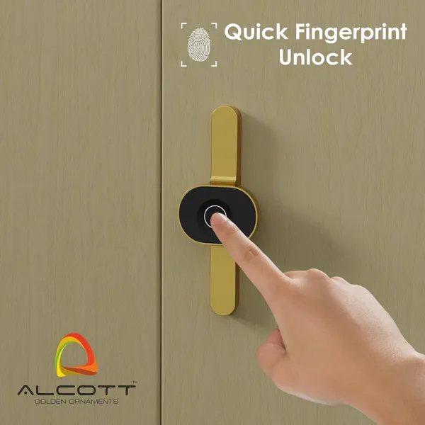 Silver_&_Black_Zinc_Fingerprint_Lock_For_Home_Security