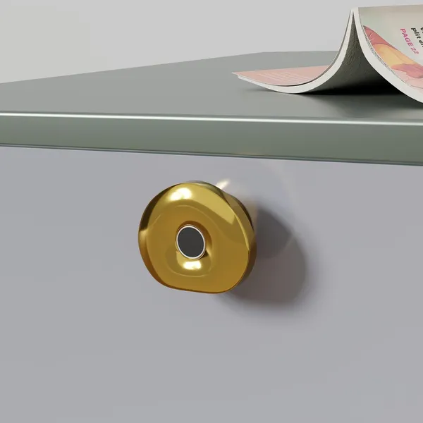 Gold_Zinc_Fingerprint_Lock_For_Home_Security