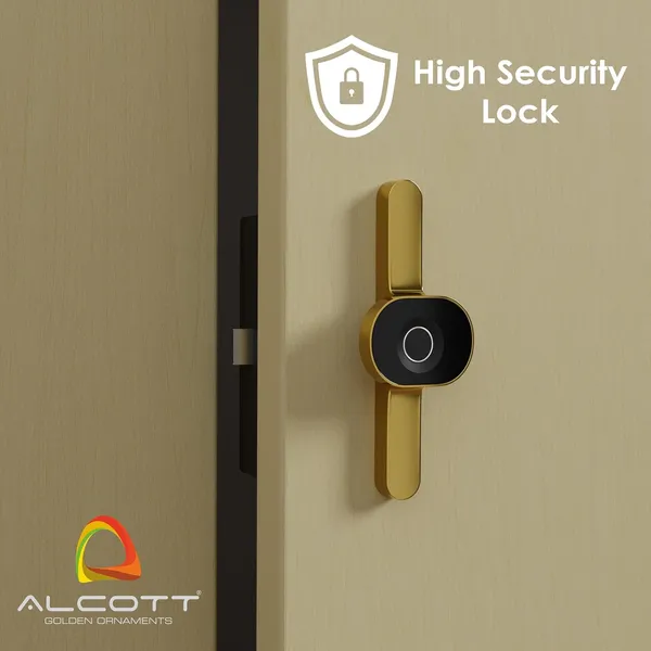 Rose_Zinc_Fingerprint_Lock_For_Home_Security