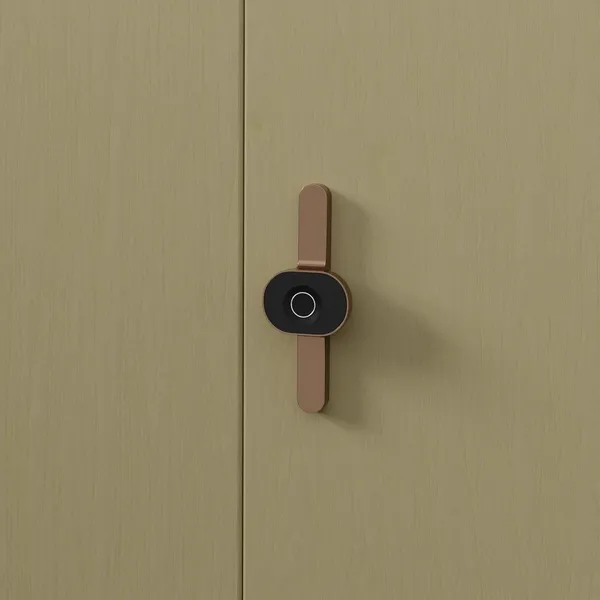 Rose_Zinc_Fingerprint_Lock_For_Home_Security