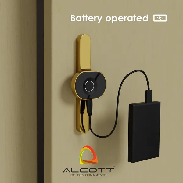 Rose_Zinc_Fingerprint_Lock_For_Home_Security