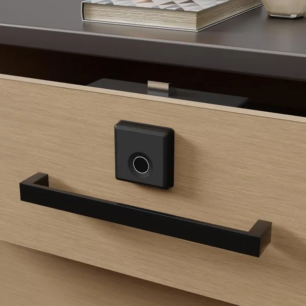 Black_Zinc_Fingerprint_Lock_For_Home_Security