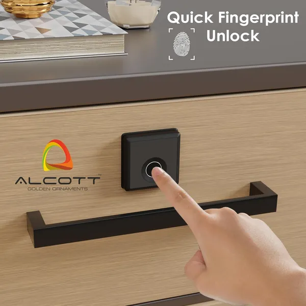 Black_Zinc_Fingerprint_Lock_For_Home_Security