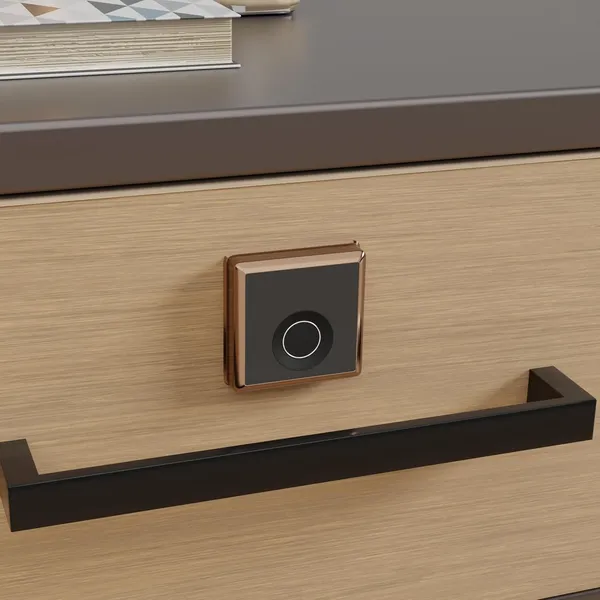 Rose_Zinc_Fingerprint_Lock_For_Home_Security