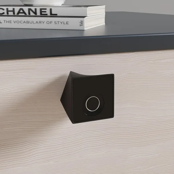 Black_Zinc_Fingerprint_Lock_For_Home_Security