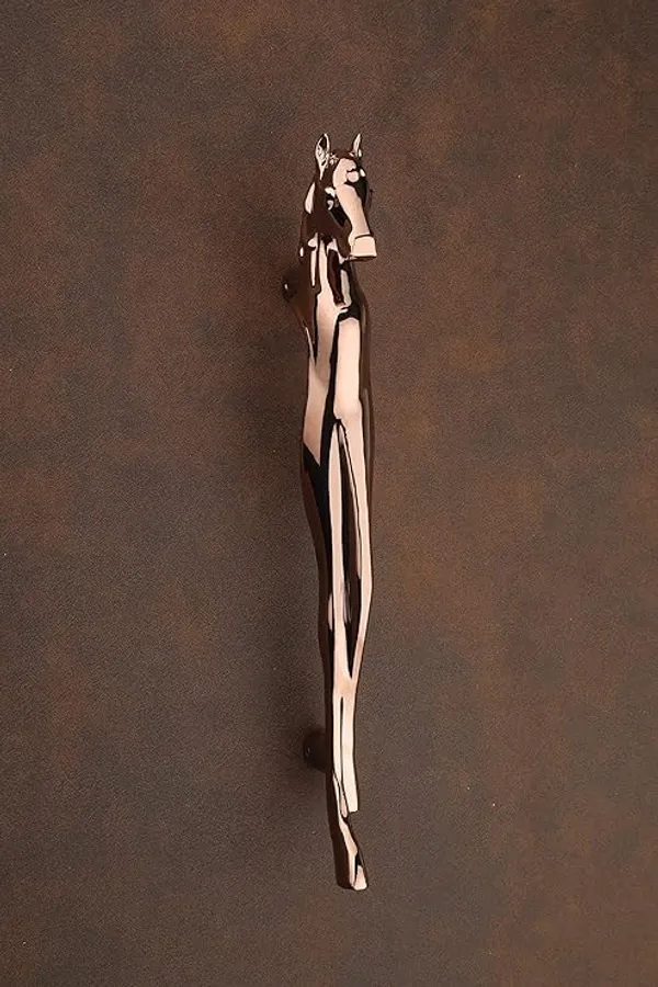 Rose_Zinc_Main_Door_Handle_For_Home_Security