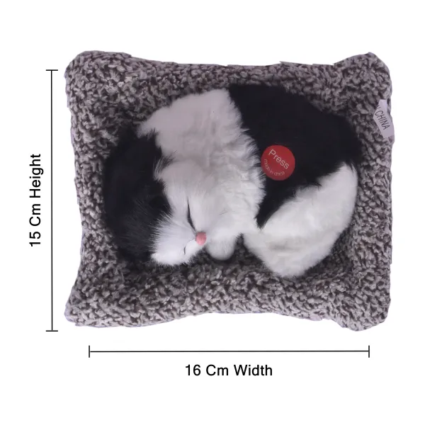 Multicolour_Sleeping_Cat_For_Kids
