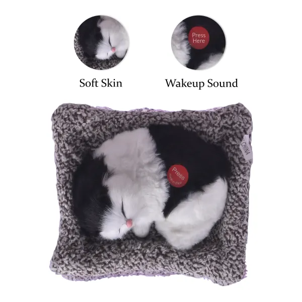 Multicolour_Sleeping_Cat_For_Kids