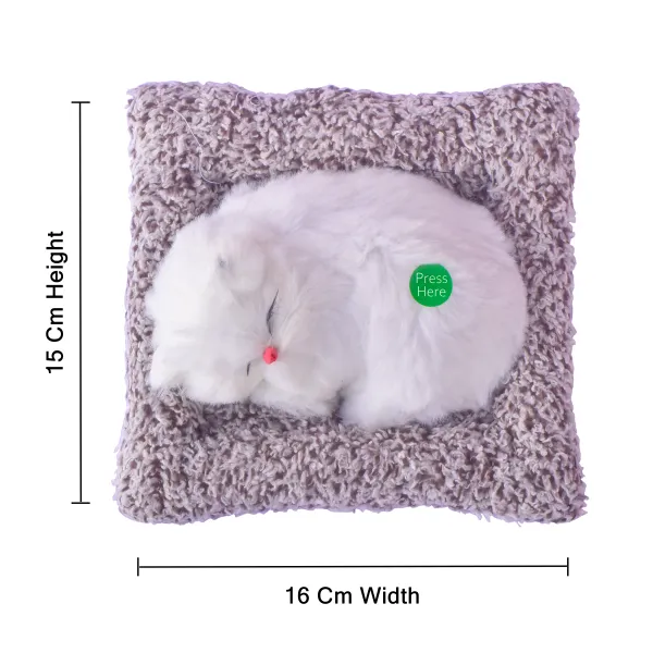 Multicolour_Sleeping_Cat_Toy_|_Plush_Sleeping_Cat_With_Sound_For_Kids
