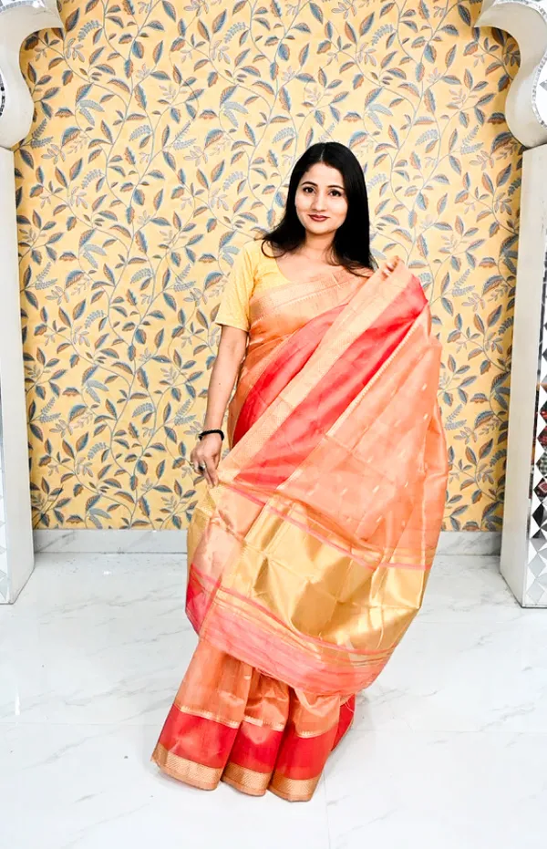 Sunset_Royale_Gold_Zari_Organza_Saree