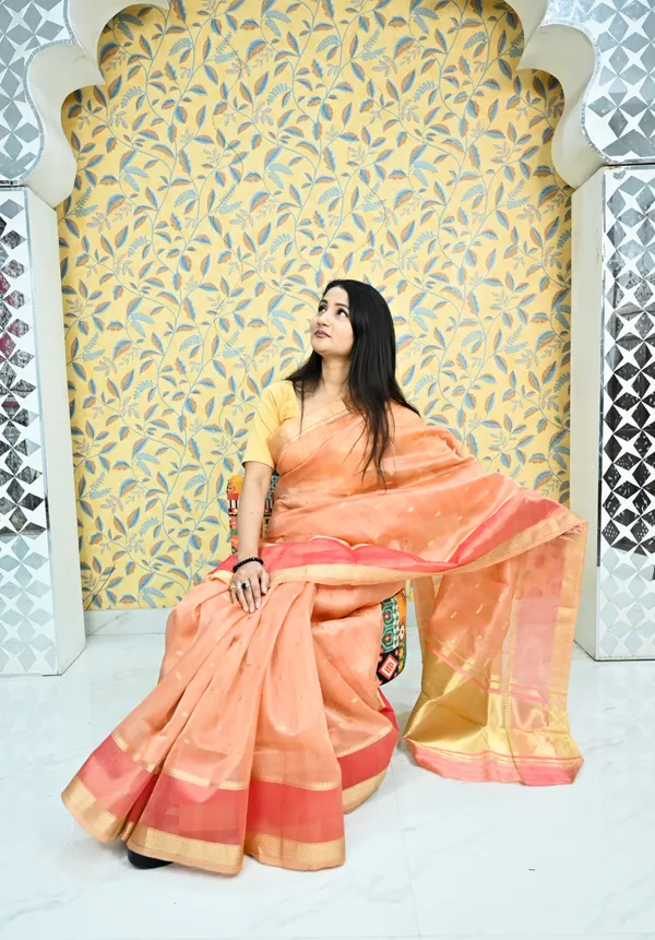 Sunset_Royale_Gold_Zari_Organza_Saree