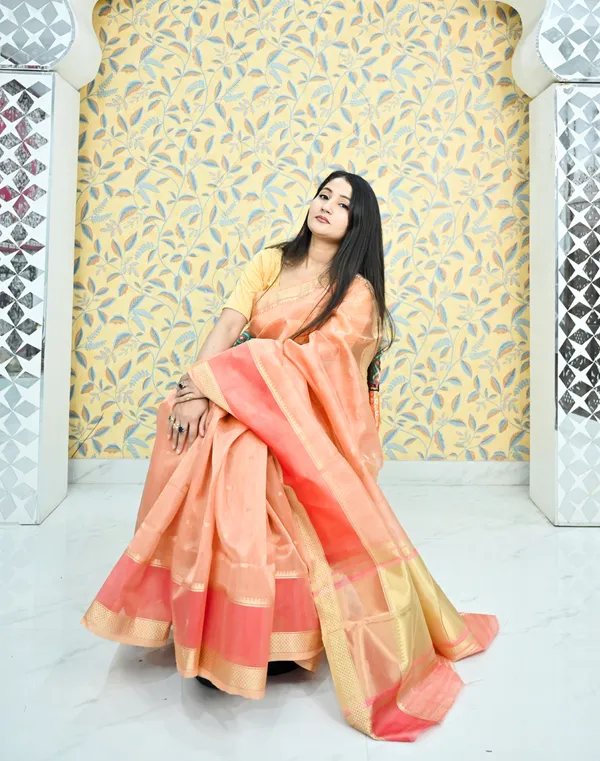 Sunset_Royale_Gold_Zari_Organza_Saree