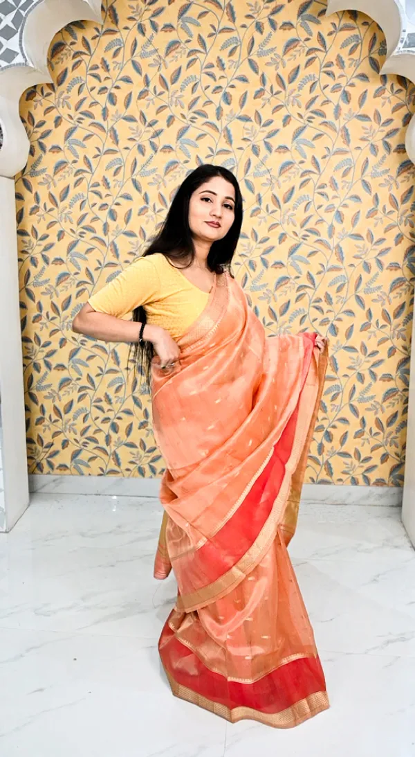 Sunset_Royale_Gold_Zari_Organza_Saree