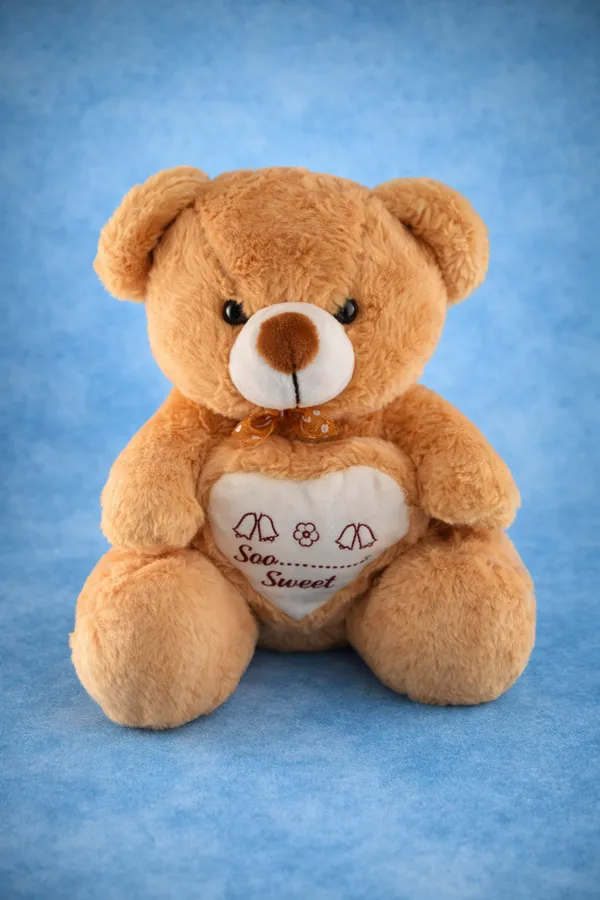 Brown_So_Sweet_Teddy_Bear_Rabbit_Fur_Plush_Toy