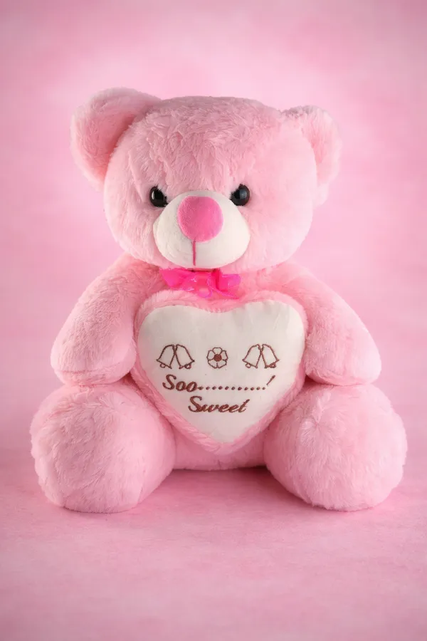 Pink_So_Sweet_Teddy_Bear_Rabbit_Fur_Plush_Toy