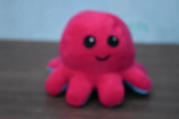 Blue_And_Pink_Octopus_Ef_Fabric_Plush_Toy