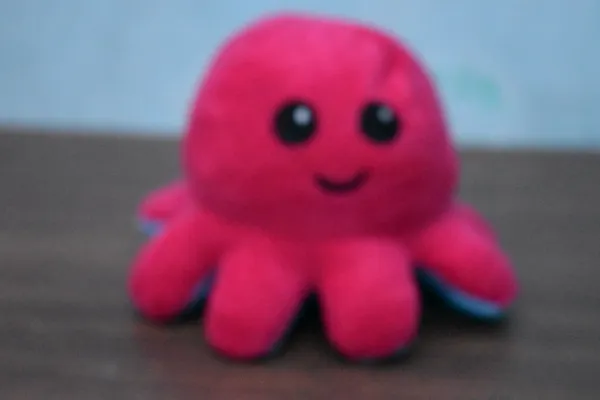 Blue_And_Pink_Octopus_Ef_Fabric_Plush_Toy