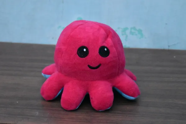 Blue_And_Pink_Octopus_Ef_Fabric_Plush_Toy
