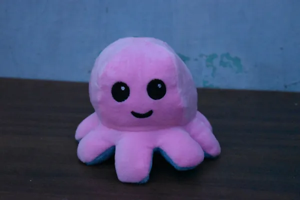 Blue_And_Pink_Octopus_Ef_Fabric_Plush_Toy