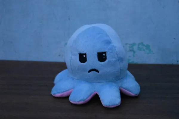 Blue_And_Pink_Octopus_Ef_Fabric_Plush_Toy