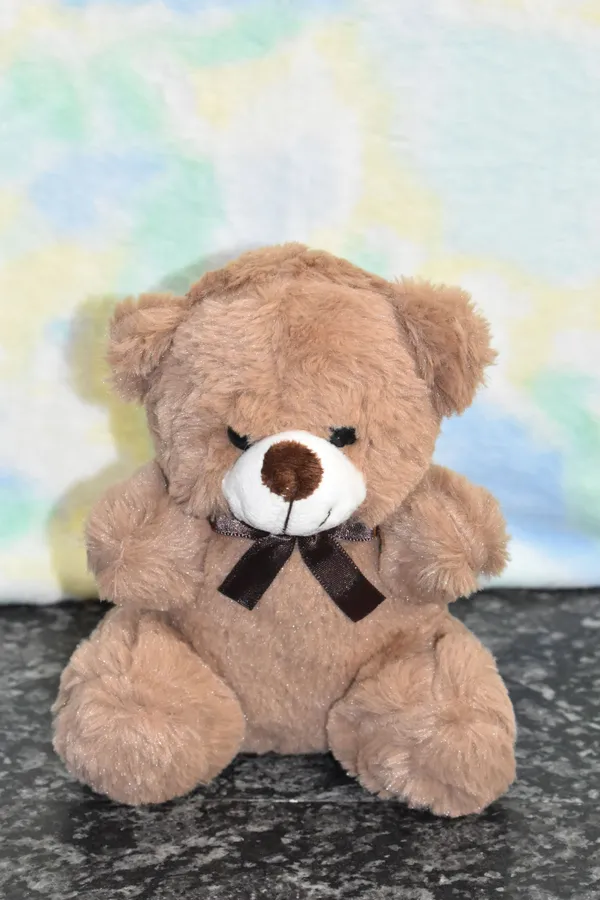 Brown_Fuzzy_Teddy_Rabbit_Fur_Plush_Toy